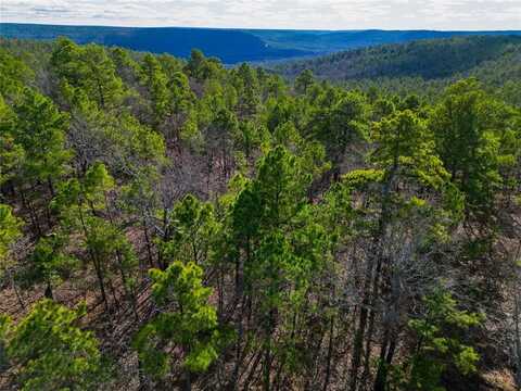 Wagonwheel Road, Daisy, OK 74540