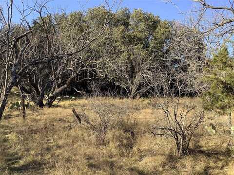 5 Acres Tbd N Highway 6, Cisco, TX 76437