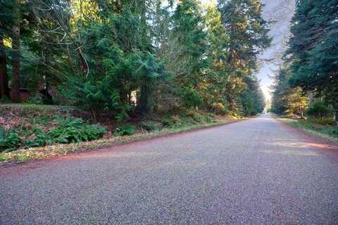 Lot 13 Claire Lane, Point Roberts, WA 98281