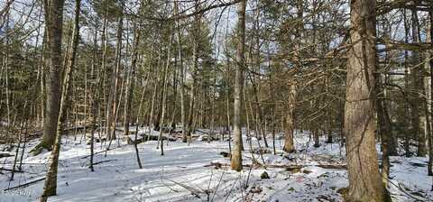 Lot 82 Perry Pond Road, Narrowsburg, NY, NY 12764