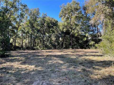 0 SW 139th Terrace, Other, FL 34481