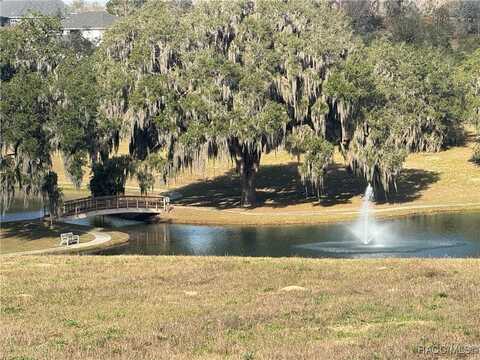 244 N Lake Shenandoah Loop, Inverness, FL 34453