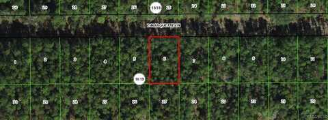 540 E Marquette Lane, Dunnellon, FL 34434