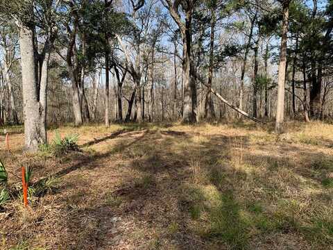 Lot 5 Big Cedar Rd, Ponce De Leon, FL 32455