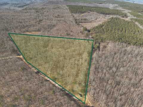 0 Palmer Fire Tower Road, Palmer, TN 37365