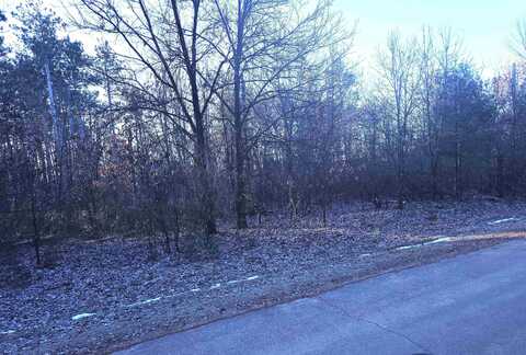 1.14 Ac Flowage Road, Spring Green, WI 53588