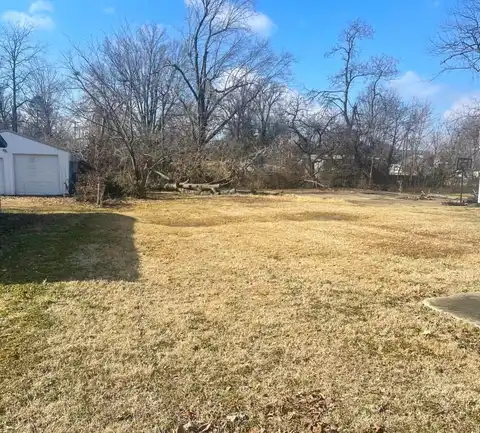 S Sassafras St (Lot 47), Dexter, MO 63841