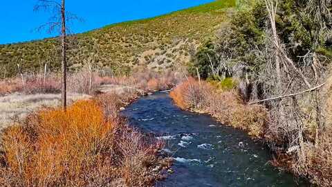 000 off Trinity Mountain Road, French Gulch, CA 96033