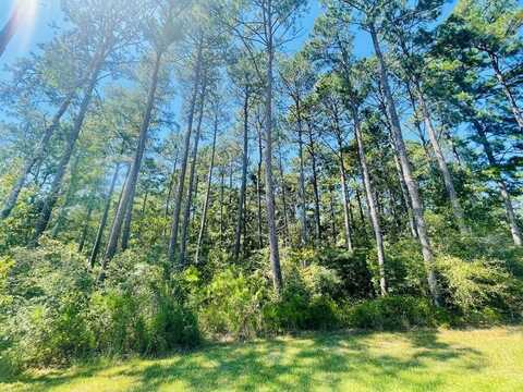 XXX Homesville Road SW, Bogue Chitto, MS 39629