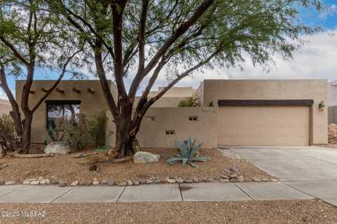 39920 S Horse Run Drive, Tucson, AZ 85739