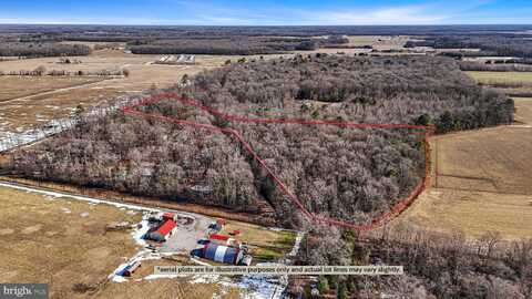 696 SPECTRUM FARMS ROAD, FELTON, DE 19943