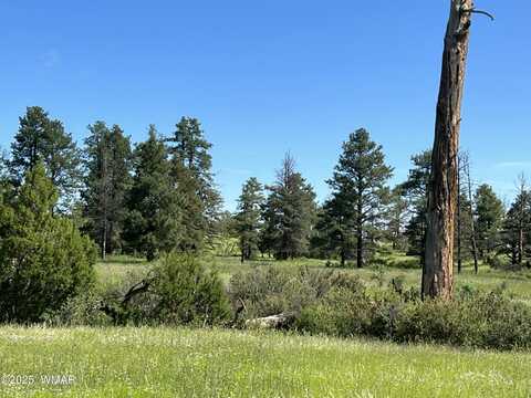 Tbd County Road N1334, Greer, AZ 85927