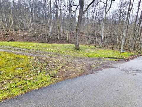 1272 White Oak Creek Road, ARTIE, WV 25008