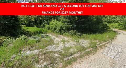 undefined, Cherokee Village, AR 72529
