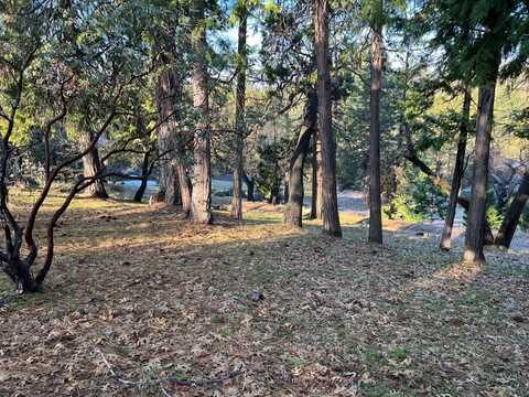 1238 Canyon Ridge Court, Murphys, CA 95247