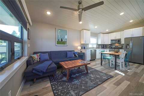 619 E 9th Street, Leadville, CO 80461