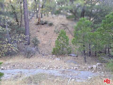 1694 Line Dr, Lake Arrowhead, CA 92352