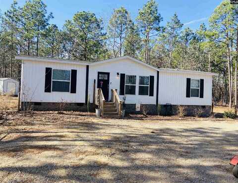 455 Gunter Pond Road, Wagener, SC 29164