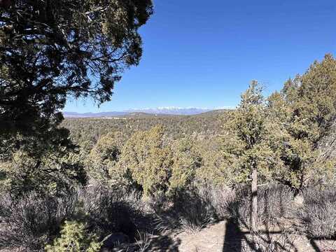 7371 County Road 310, Ignacio, CO 81137