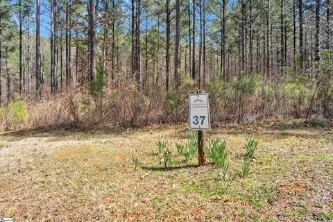 0 High Hampton Road, Salem, SC 29676