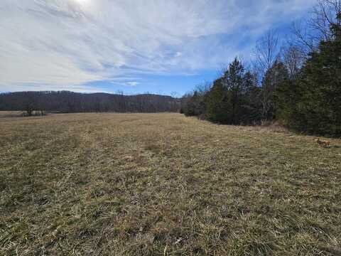 19.81 Ac Big Sugar Creek Road, Pineville, MO 64856