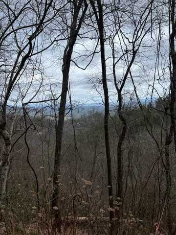 Lot 3 Overholt Trail, Sevierville, TN 37862