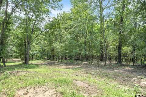 TBD (16 Acres) VZ County Road 1804, Grand Saline, TX 75140