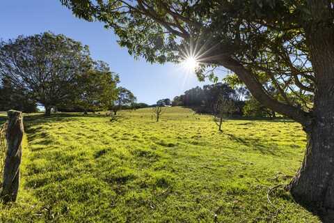 67-1009 KEAMUKU RD, KAMUELA, HI 96743