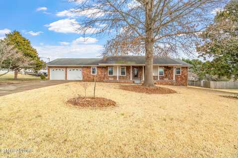 263 Mohawk Circle, Seymour, TN 37865