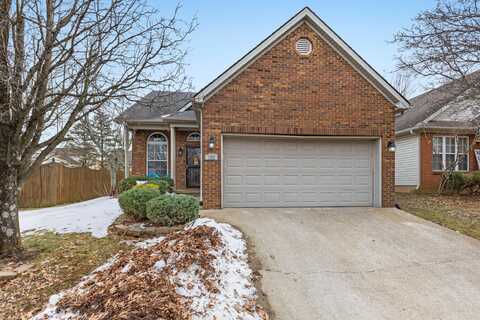 132 Angel Falls Drive, Lexington, KY 40511
