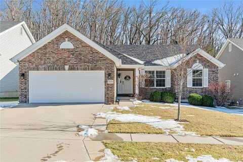 17678 Trailmark Court, Eureka, MO 63025