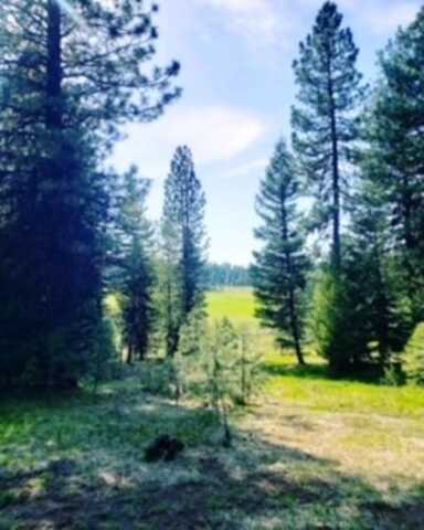 TBD Whitefield Lane, McCall, ID 83638
