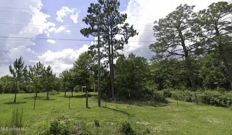 Percy Oneal Rd, McHenry, MS 39561