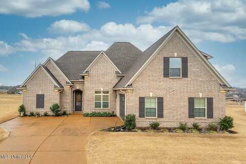 8297 Jack Thomas Cove, Olive Branch, MS 38654