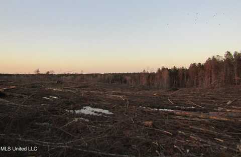 Firetower Rd, Camden, MS 39045