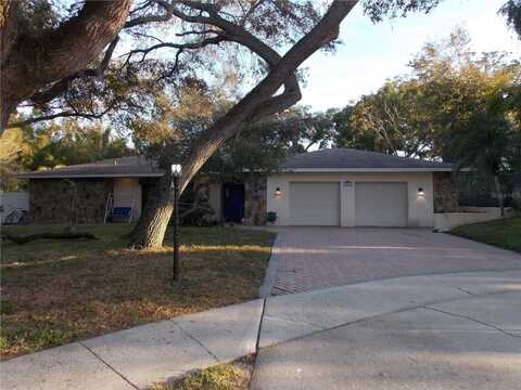 2046 WINDING OAKS DRIVE, PALM HARBOR, FL 34683