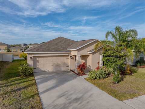 10511 FUZZY CATTAIL STREET, RIVERVIEW, FL 33578