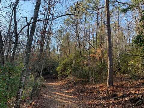 166 Qualla Trail, MURPHY, NC 28906