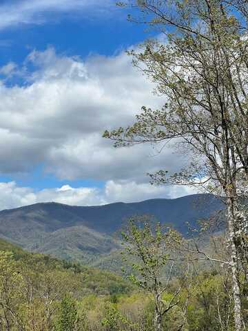 33 35 36 J Ash Branch, HAYESVILLE, NC 28904