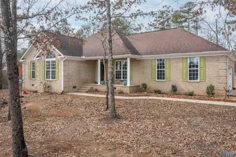 1115 Edgar Road, Glencoe, AL 35905