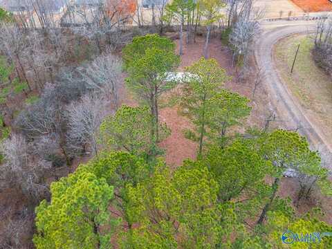 8061 Spragins Hollow Road, Huntsville, AL 35810