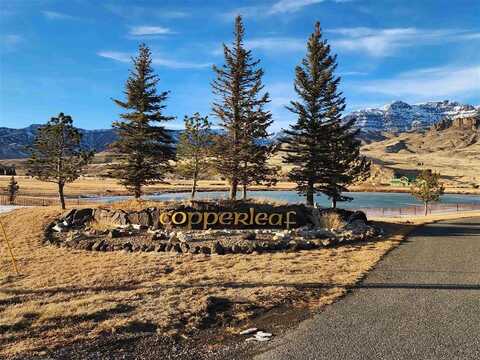 53 Big Creek Dr, Cody, WY 82414