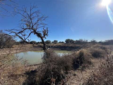 4 County Rd 545, Mullin, TX 76864