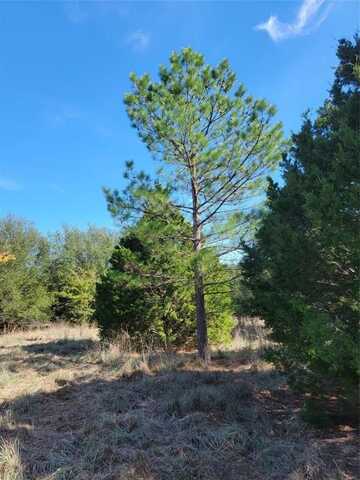 Tbd Phillips Drive, Azle, TX 76020