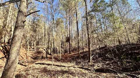 0 Meadow Lou Lane Tract A, Winnsboro, SC 29180