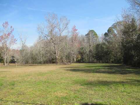 4891 S Morningside Ter, Homosassa, FL 34446