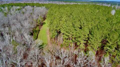 0 County Road 303, Skipperville, AL 36374