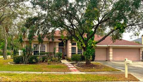 18108 SUGAR BROOKE DRIVE, TAMPA, FL 33647