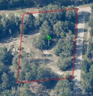 12400 W CORNFLOWER Drive, Crystal River, FL 34428