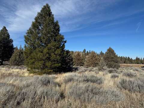 Unit 5 Lot 235 Sifford Court, Weed, CA 96094